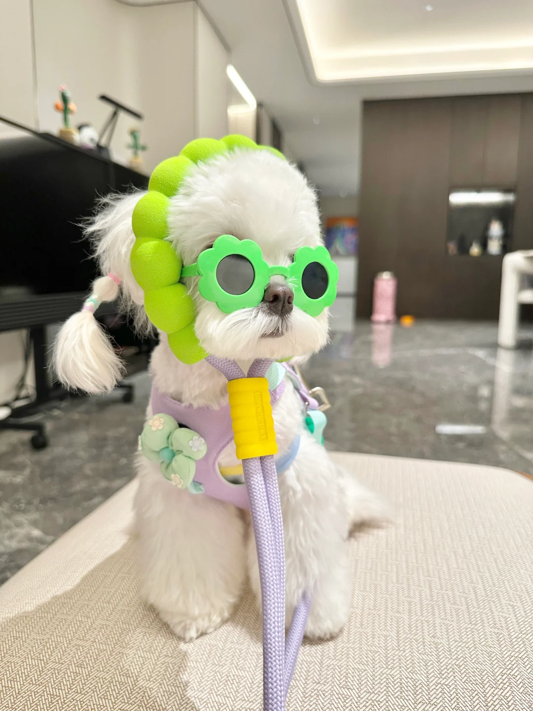 live图｜麻麻你动作快点，我的全勤奖啊！