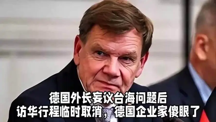 上门求人还摆谱？德外长访华突然黄了