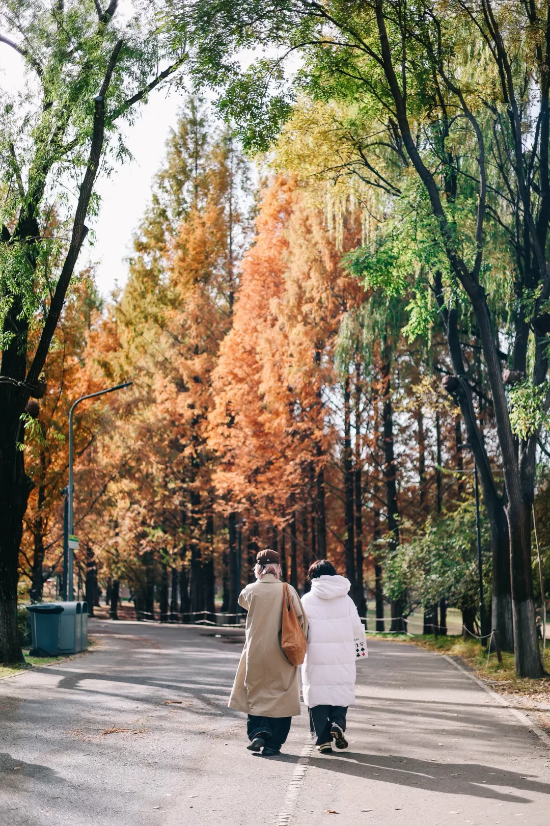 朝阳公园｜和爸爸妈妈漫步在北京的深秋
