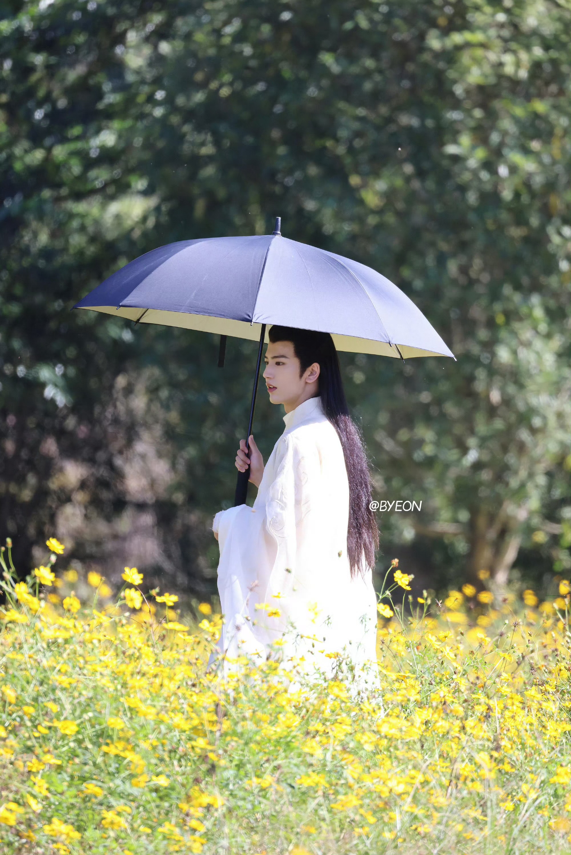 张凌赫 花田宣宣