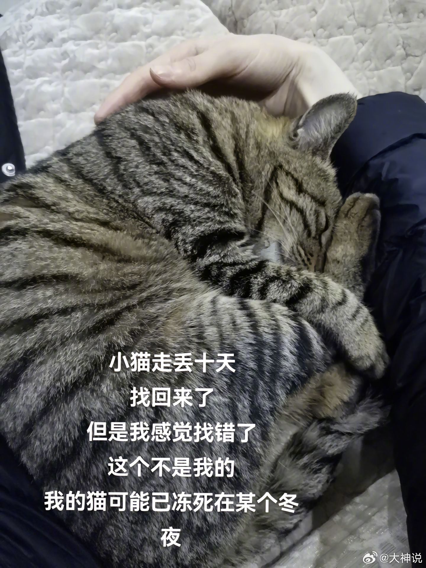 爱会传递不会消失#v笑年度大赏# ​​​