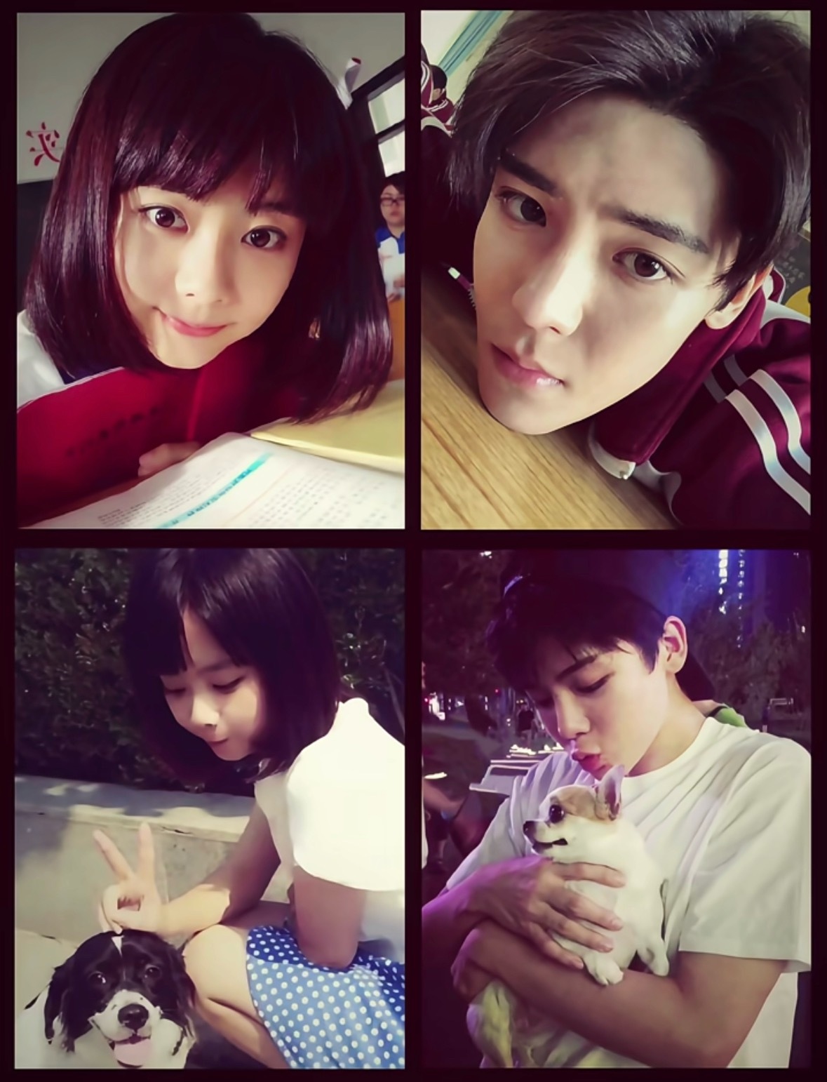 两个萌物我终于理解那些疯狂找🍬嗑cp的那群人了可惜我爱的cp都不麦 