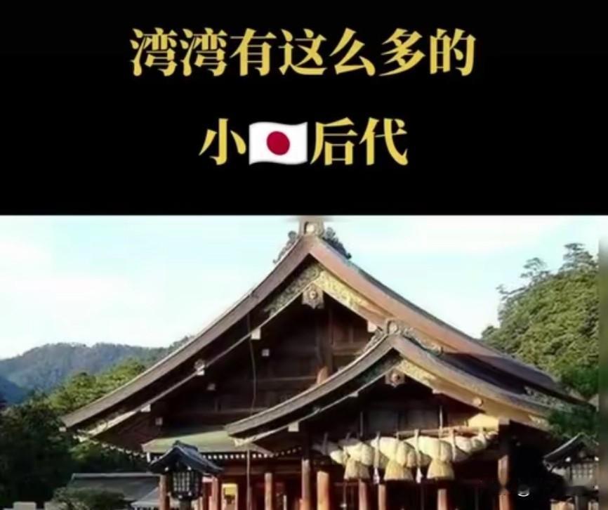 台湾网友说，真正的台湾人不会跪舔日本，除非是日杂！
 
在台湾，跪舔日本的，要么