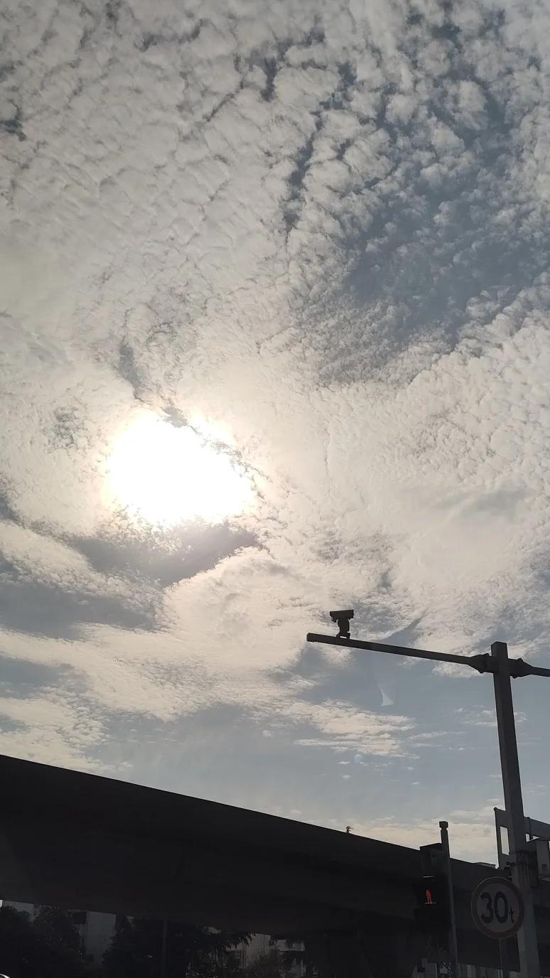 今天苏州的天空出现羊羔绒状云了。这是表示天气即将有大的变动。