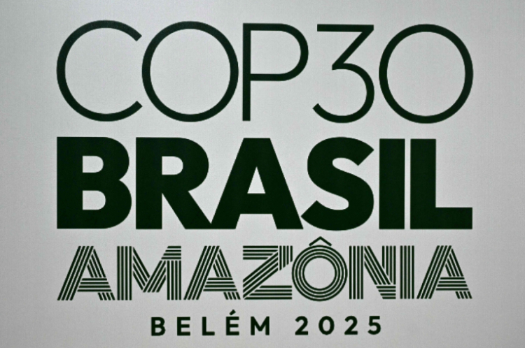 COP30官方合伙人，比亚迪你可真的是棒！先简单科普下什么是COP，COP为：《