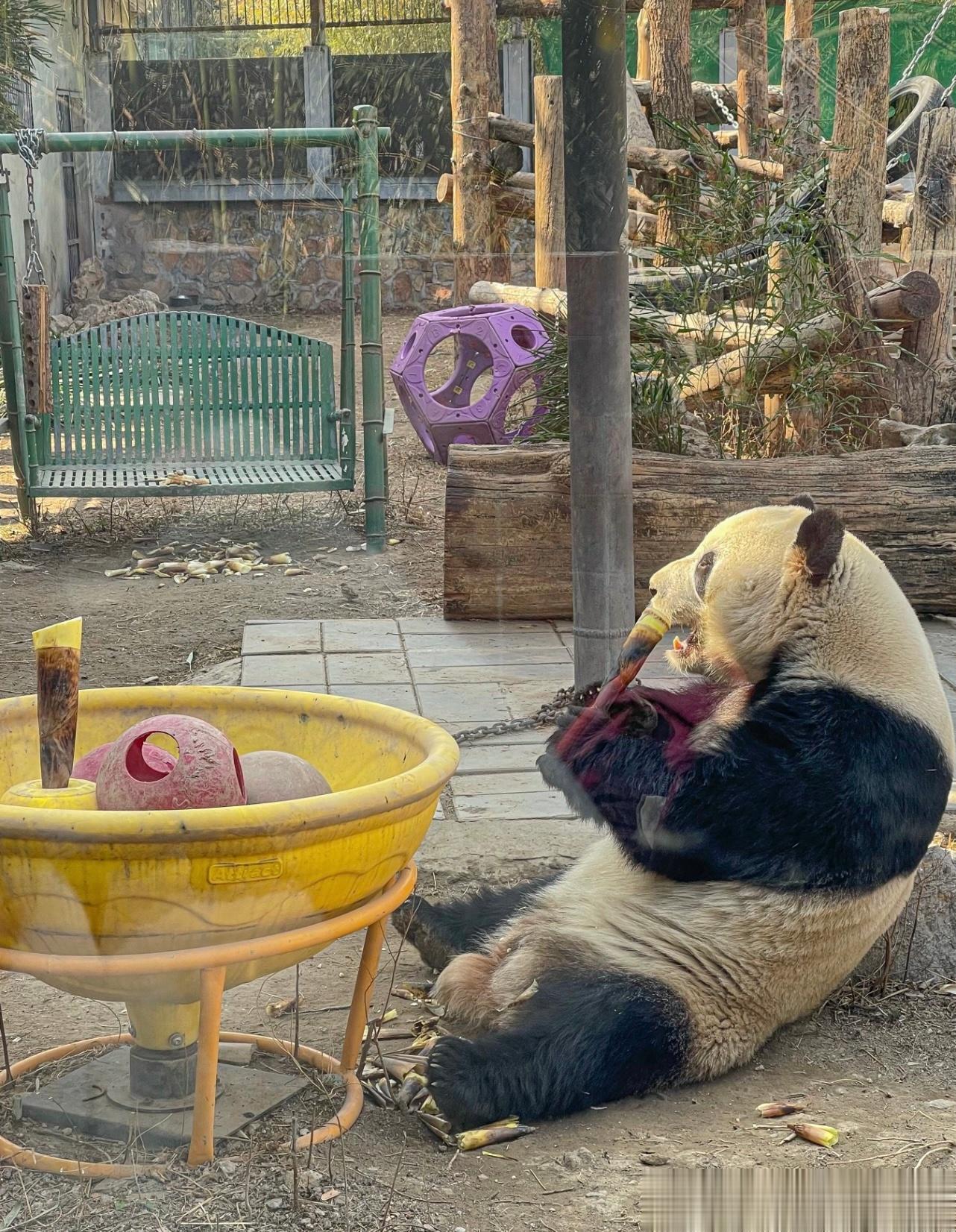 祝萌兰生日快乐[蛋糕][蛋糕][蛋糕]！ ​​​