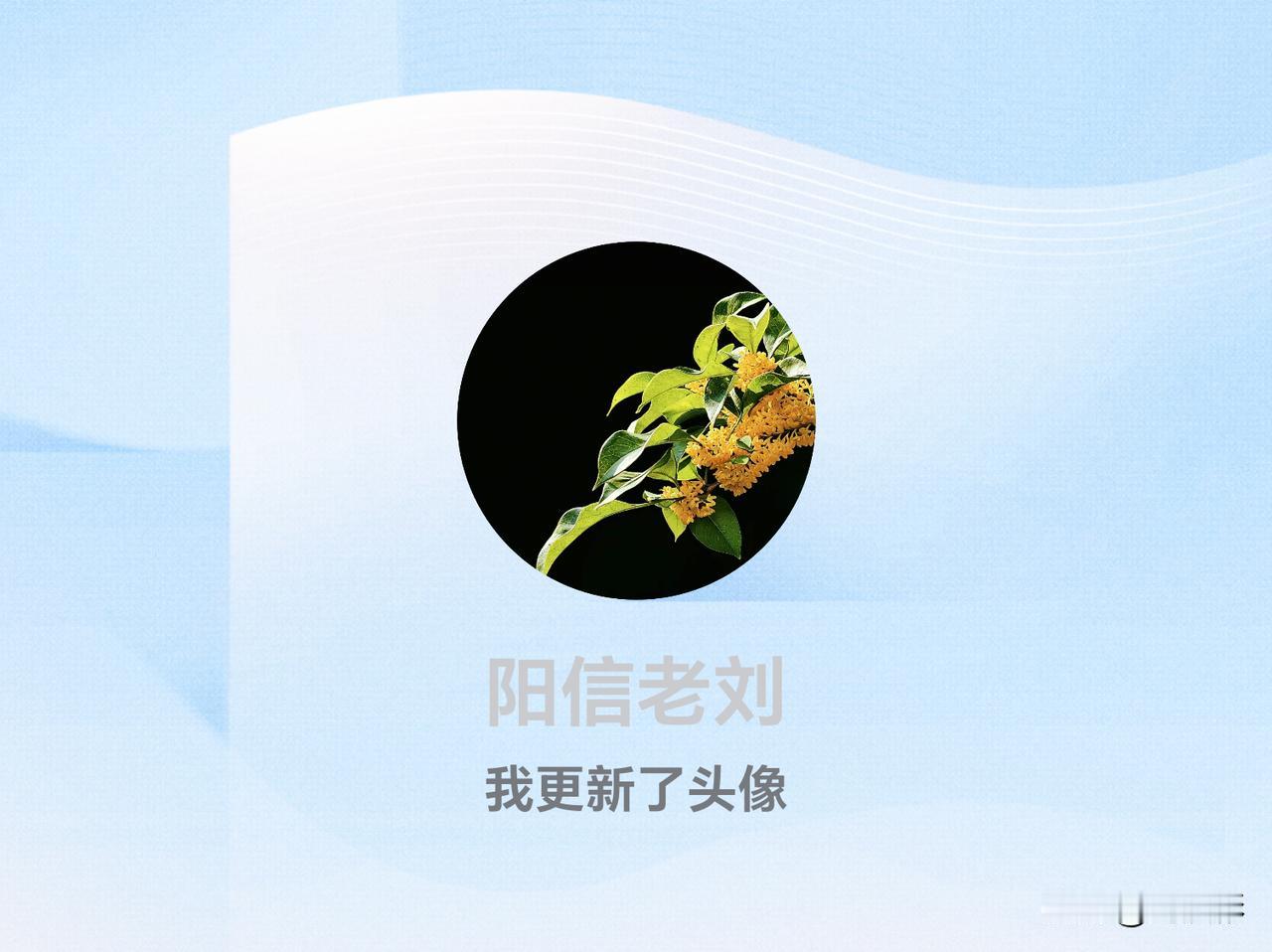 快来看看我新换的头像吧