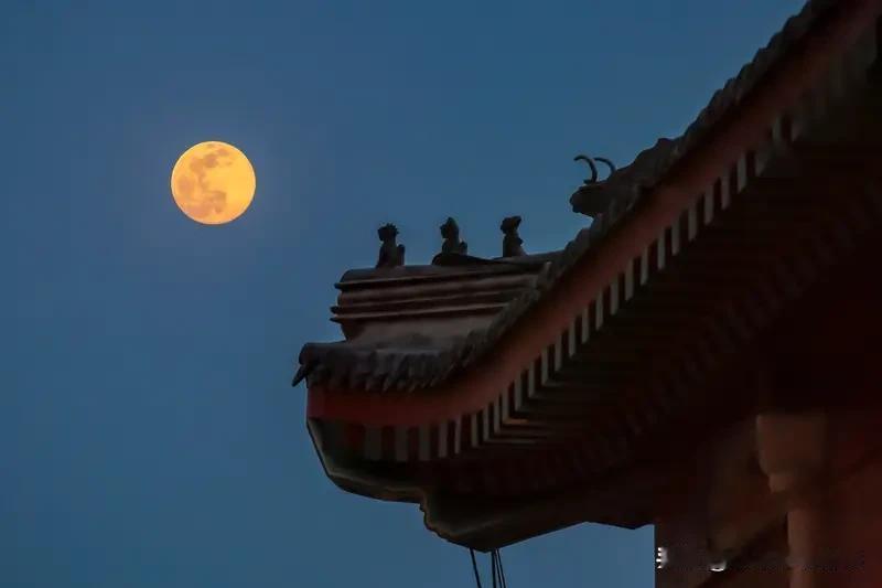 为什么只有人渴求圆满? 为什么只有人渴求圆满? 为何唯有人类渴求圆满？实则，圆满