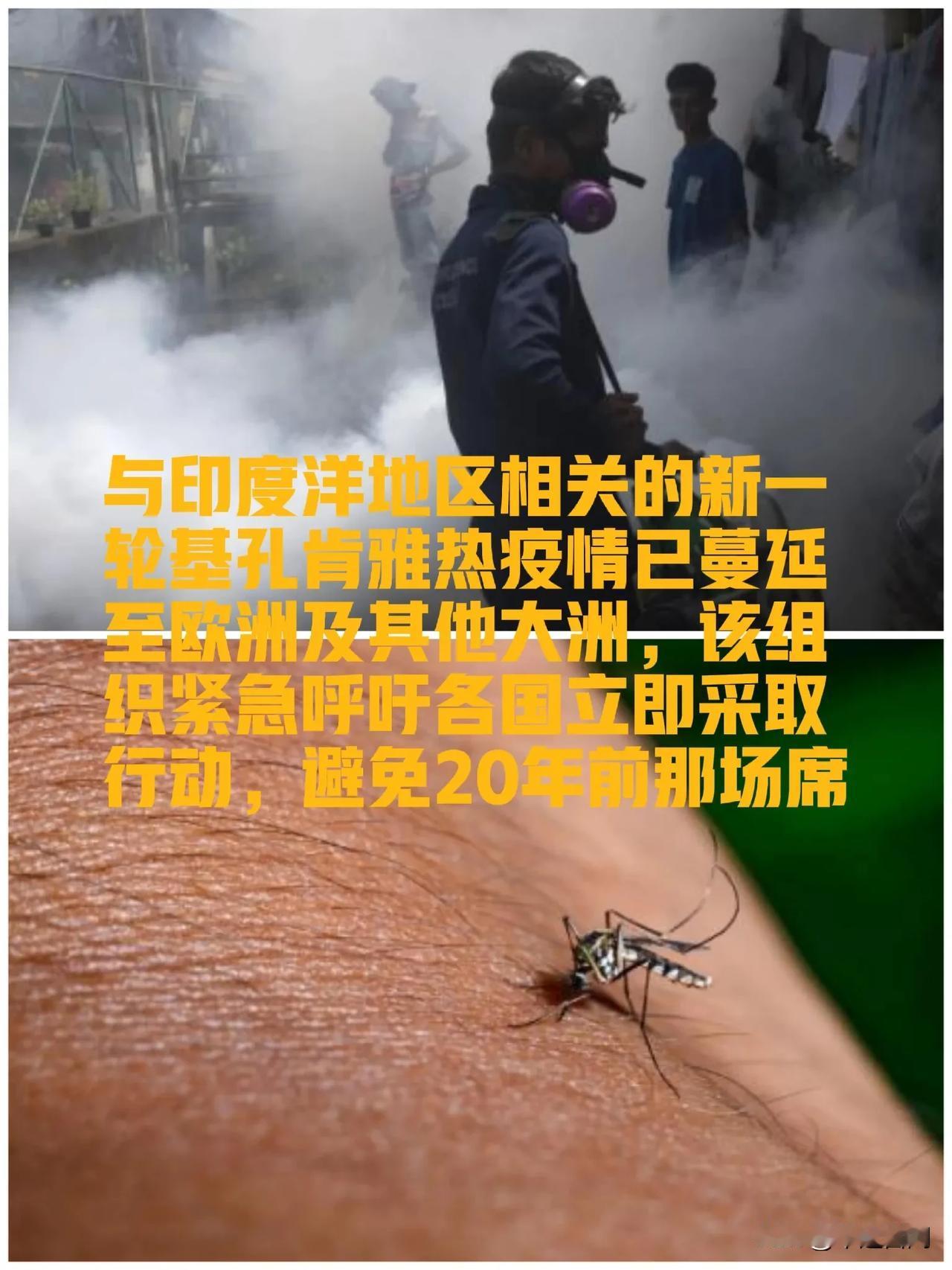 正经历严重基孔肯雅病毒疫情的斯里兰卡首都科伦坡，市政工作人员对街道进行蚊虫烟雾消