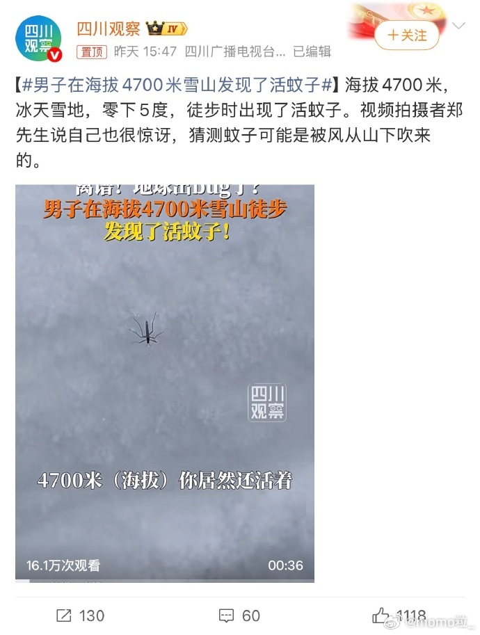 男子在海拔4700米雪山发现了活蚊子 世界上最难消灭的物种之一