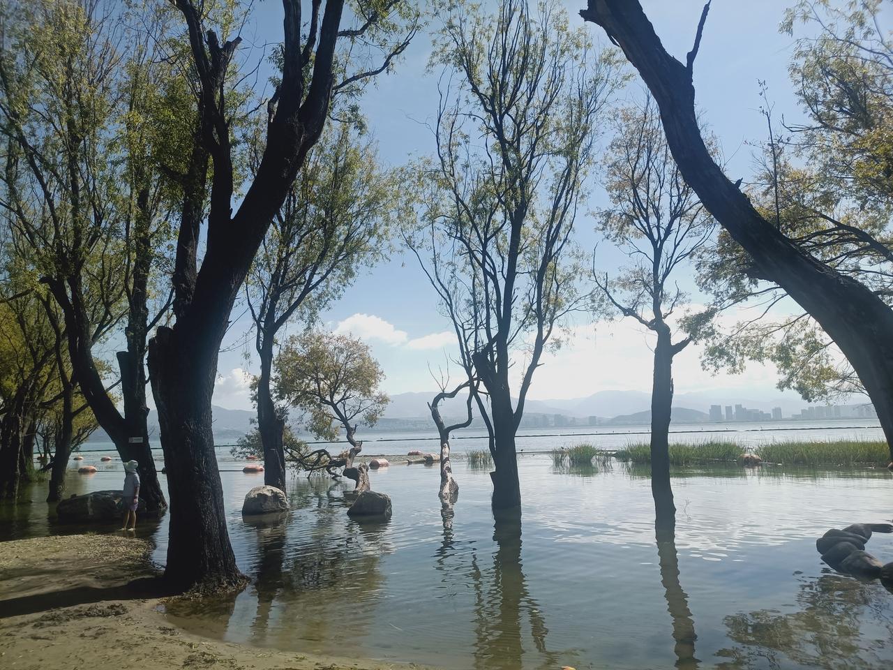 每日洱海
大理洱海风景...