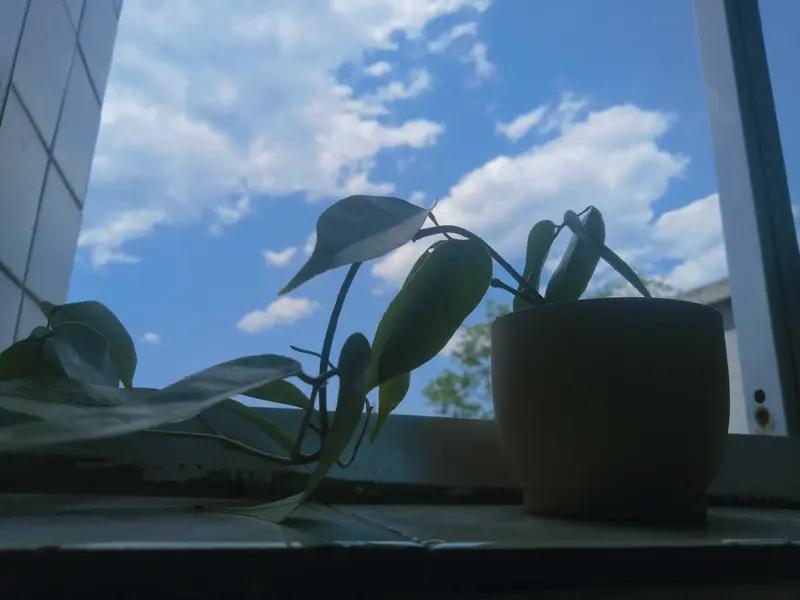 对于自己的孩子，你的期望是什么我小孩现在读初二，九月就升初三了，可是好像还完全没