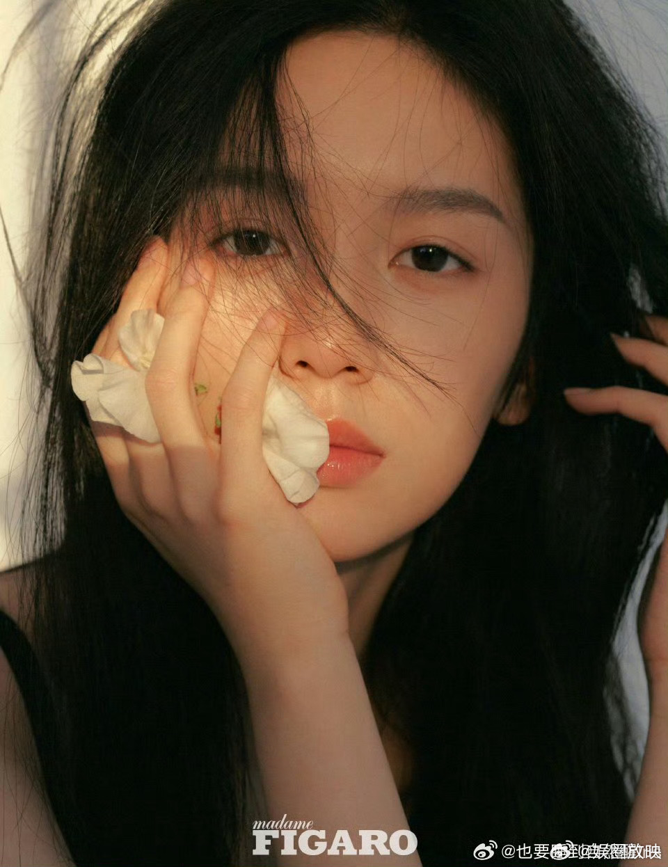 周也费加罗二月刊周也费加罗二月刊白衫出镜，清爽干净。镜头下的留白与松弛，美得刚刚