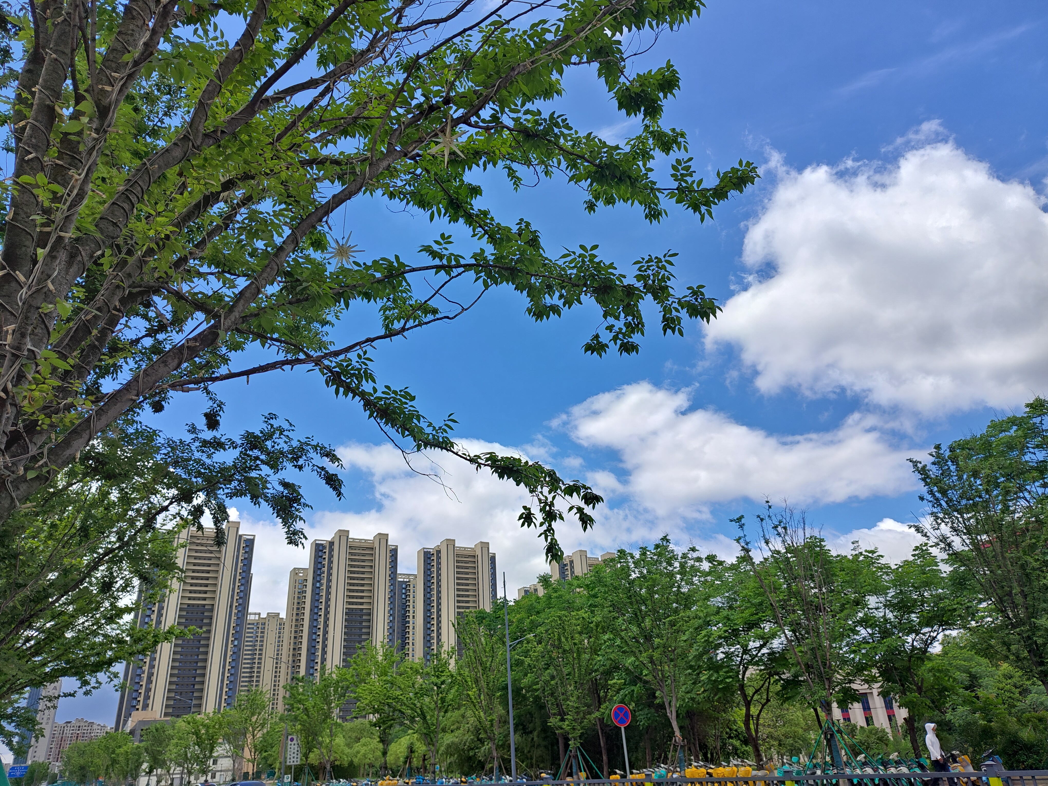 美好的一天，从加班开始☀️ ​​​