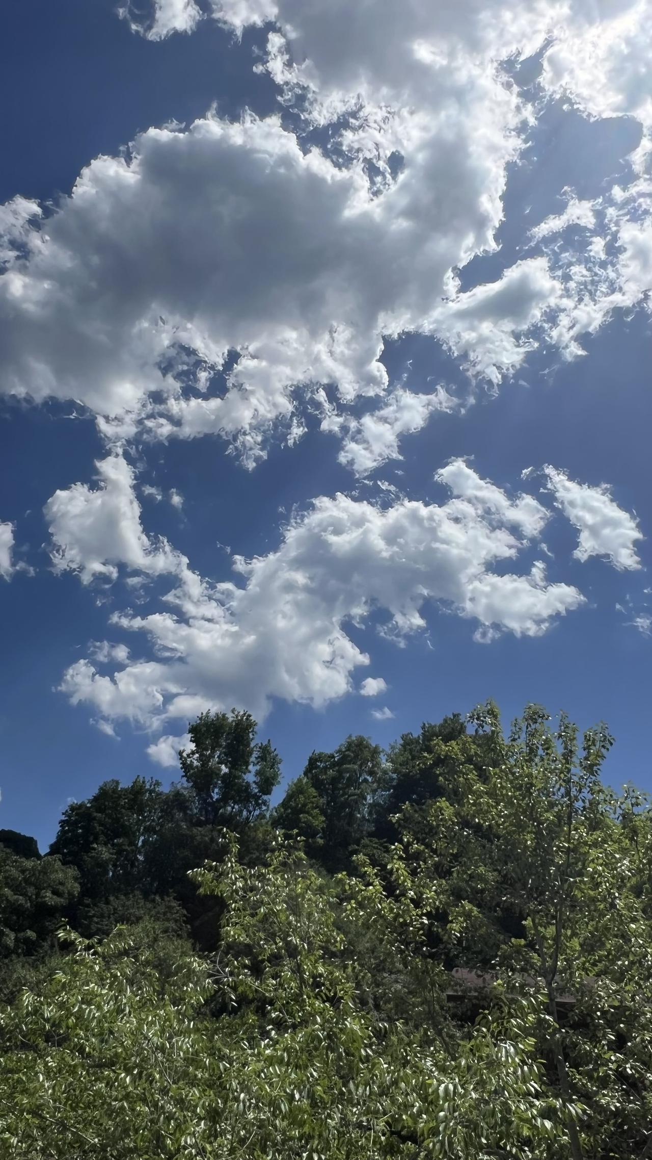 翻看手机相册时，一张蓝天白云、绿树葱笼的照片吸引了我，那是和朋友外出旅游时拍的照