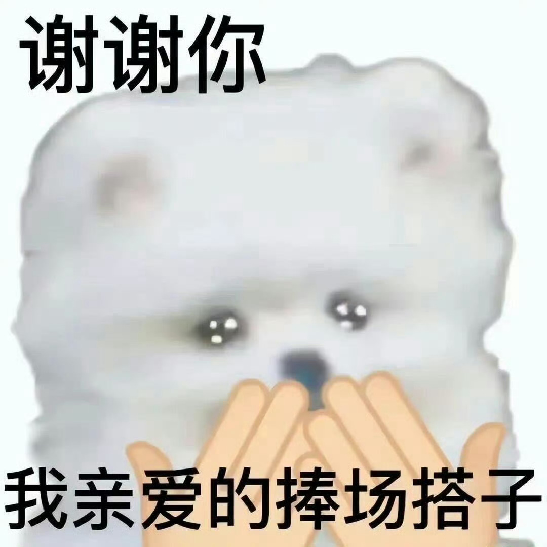 暂别生活角色，奔赴青春回响！场馆内的同频共振，是归属感，更是对抗虚无的力量！ 