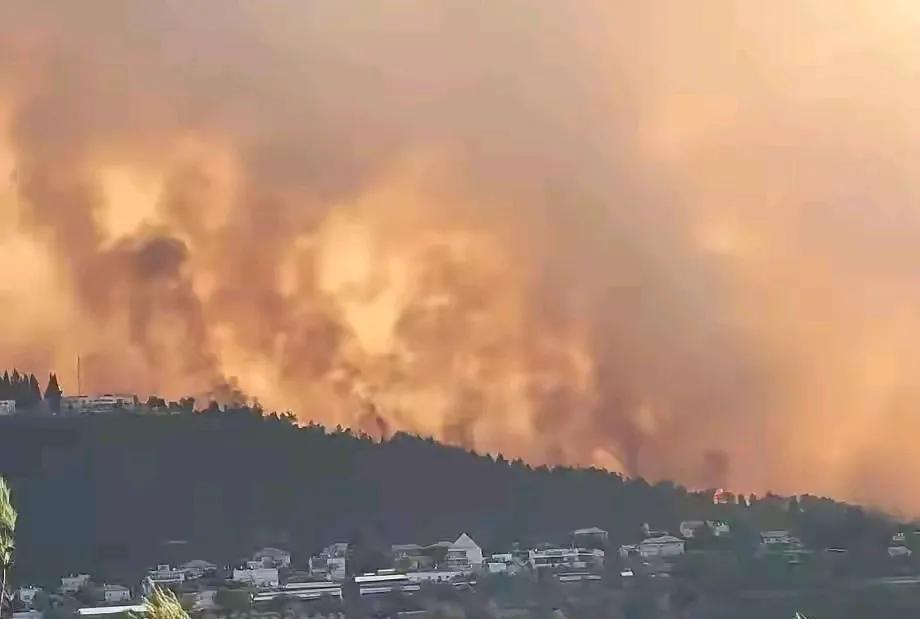 以色列山火肆虐，请求国际救援
以色列爆发大规模山火，火势失控，国家应急计划启动，
