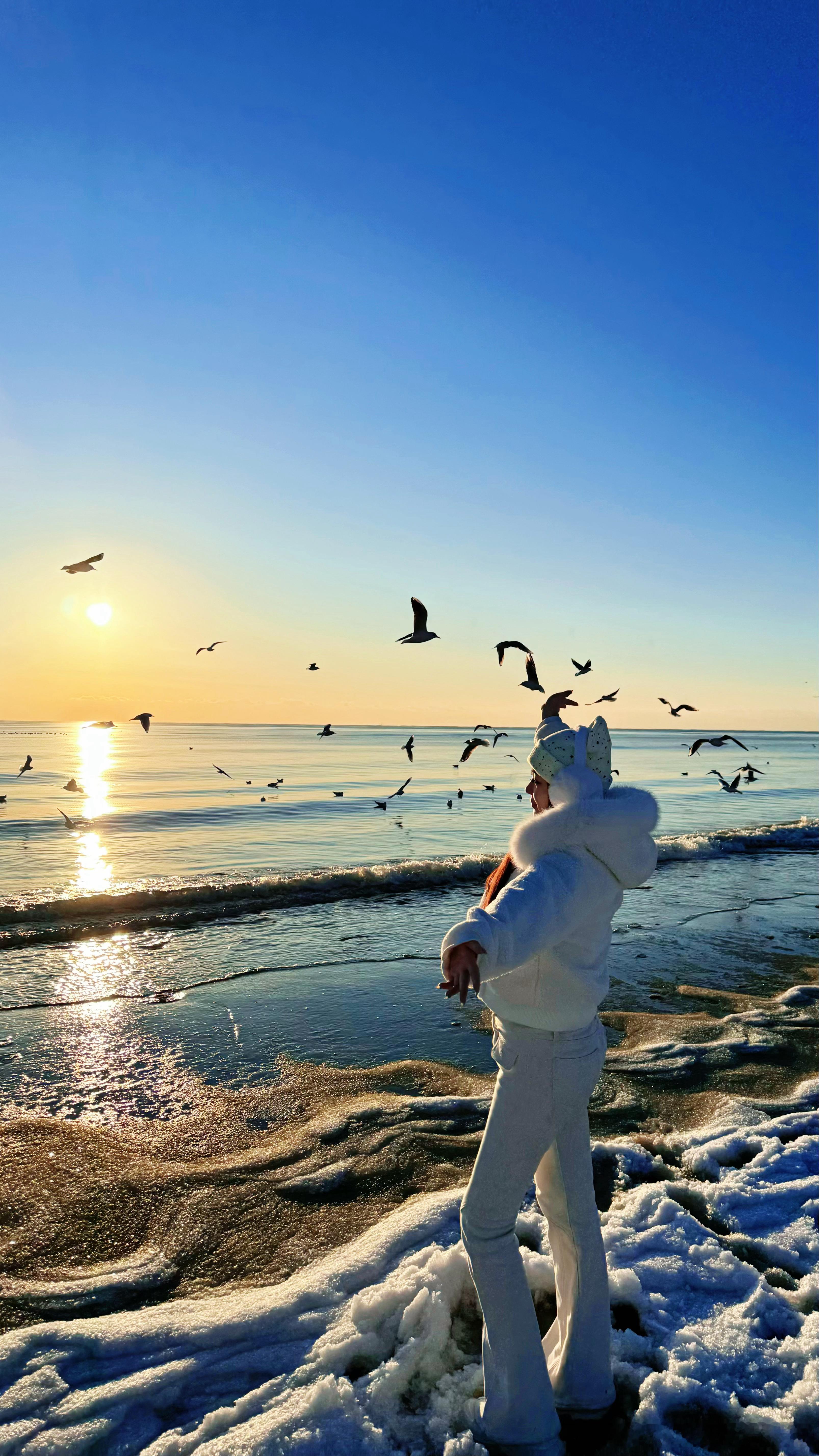 日出 海鸥 冰海 瞬间能忘记一切不愉快 