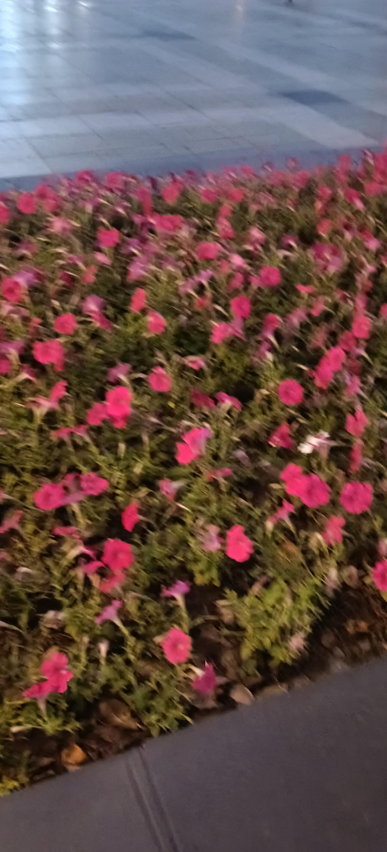 随手拍