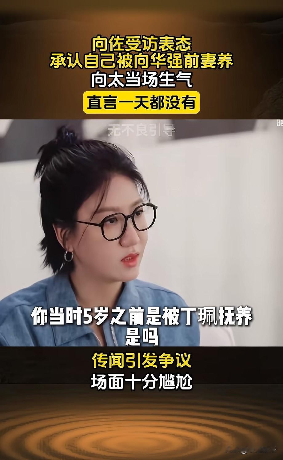 向佐访谈再起风波，家族旧传闻为何难落幕
 
向佐的一段访谈片段流出，再度把多年来