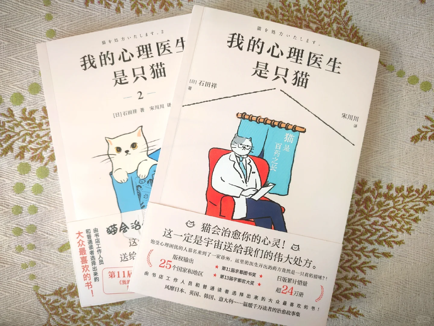 可可爱爱💞世界上不能没有小猫咪