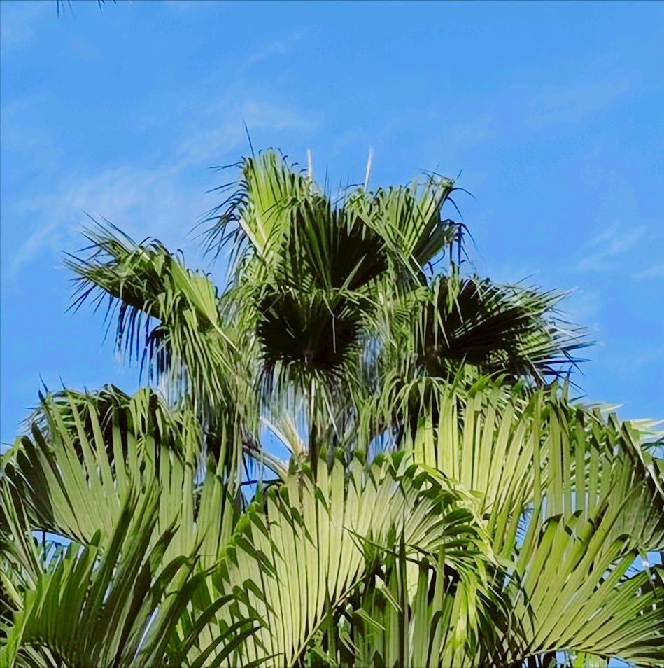 钟国东履新华能集团
 
近日，钟国东履新该集团。
 
该集团是全球500强企业，