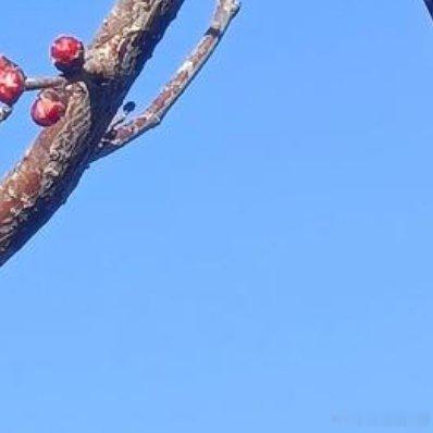 一直努力适应着这个世界的温度，无论是季节还是人心 