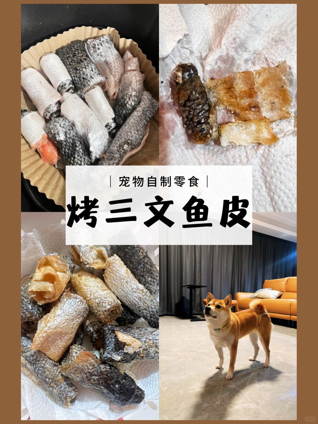 ⭐宠物自制零食⭐ | 空气炸锅三文鱼皮🐕