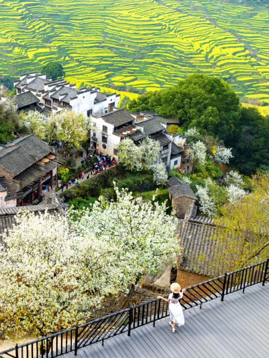 被联合国评为“世界最佳旅游乡村”🌼春天好绝