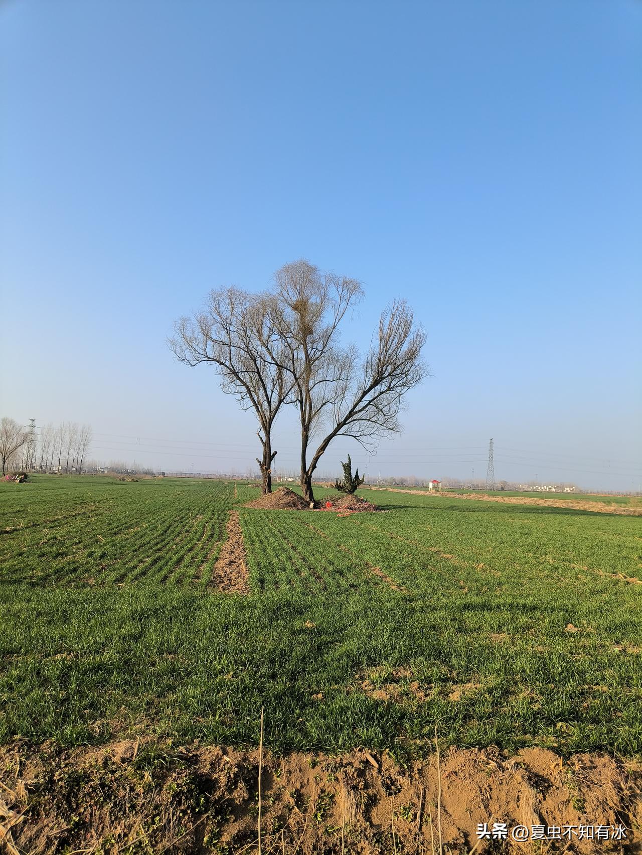 你看过最恐怖的鬼故事是什么? 小时候，夜里去邻居家串门，常听大人们聚在一起讲鬼故