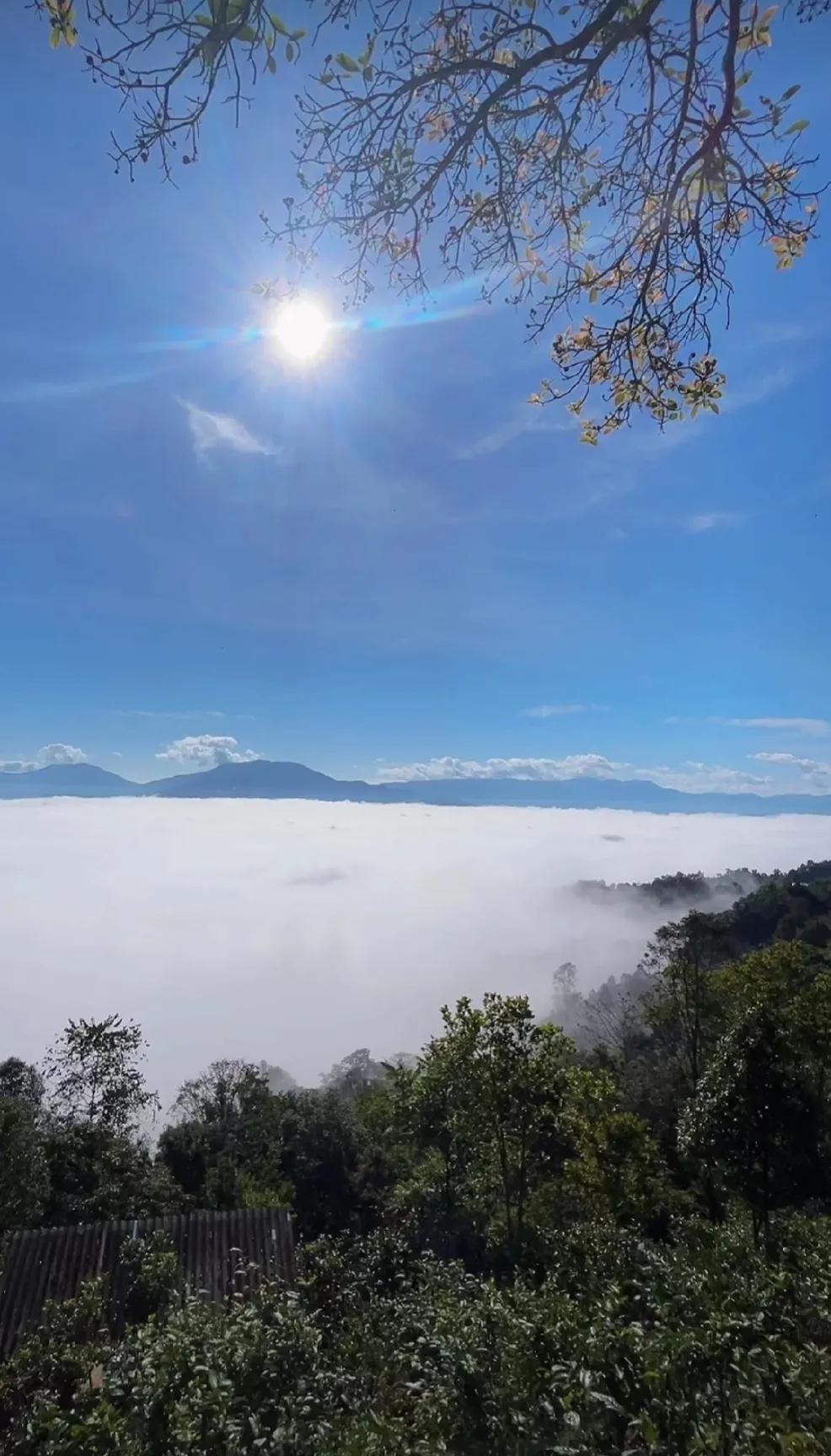 2025.1.19
讽刺的历史

1954年，冷战升级、朝鲜战争，美国不得不重新