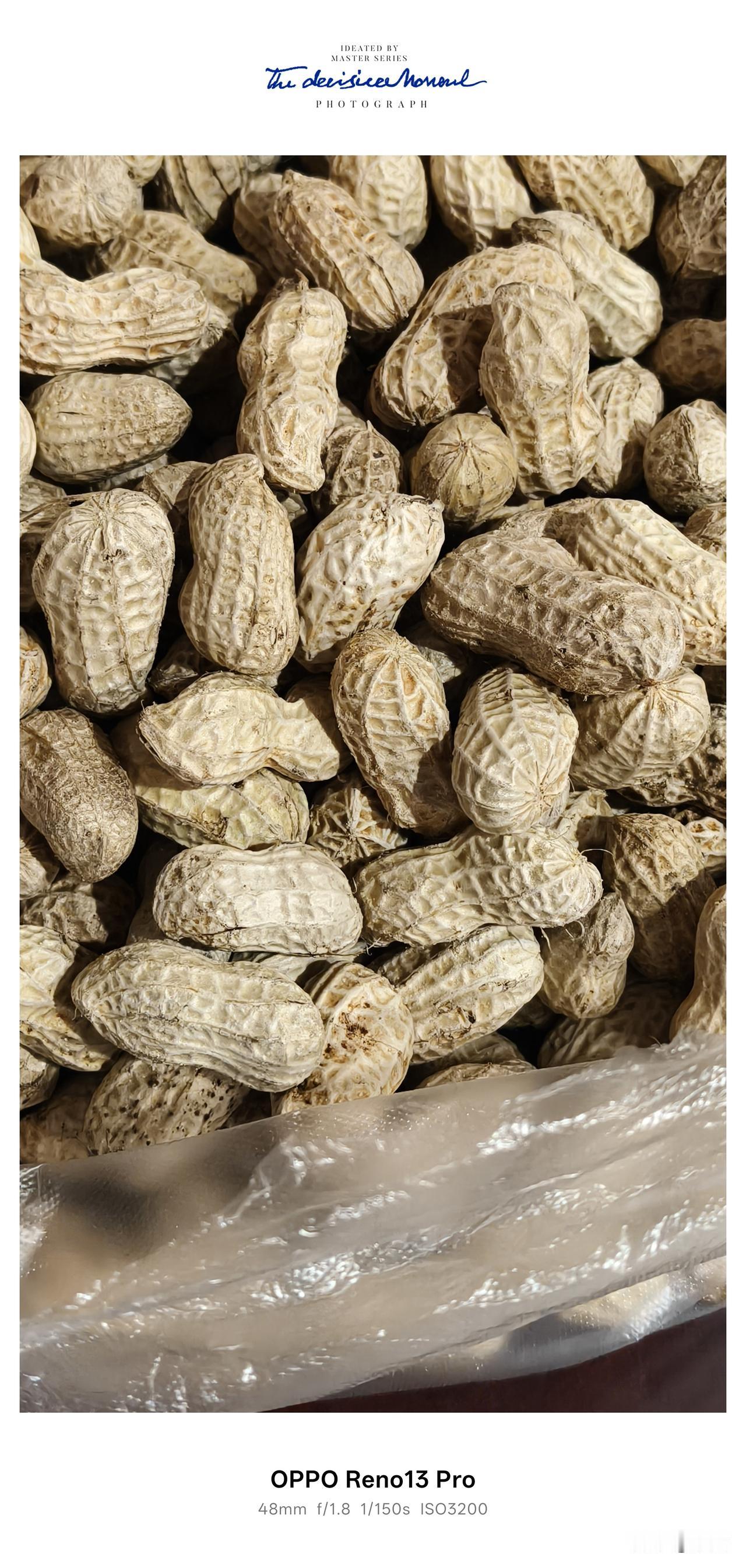 新鲜花生上市，一口尝到夏日清甜。
 盼了许久的新鲜花生终于上市啦，路过市集一眼就