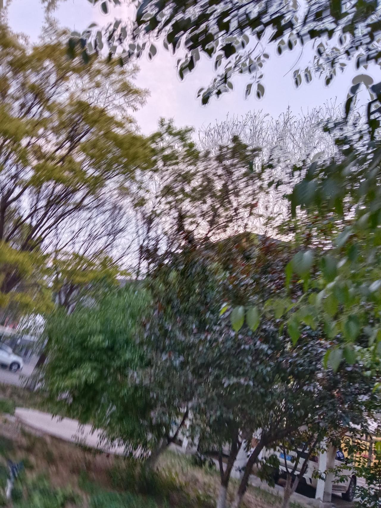 黄昏时分，漫步在绿意盎然的公园，感受大自然的宁静与美好。路边绿树成荫，风儿吹过沙