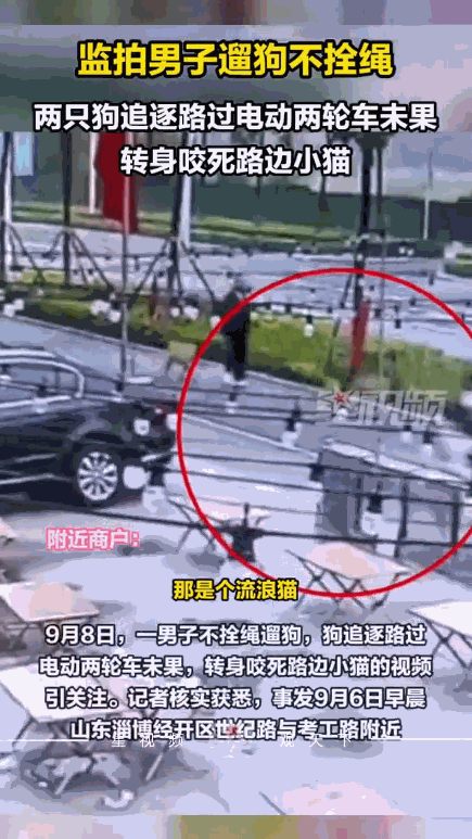 “太缺德了！”9月6日早上，山东淄博一男子像往常一样去店里开门，结果却在自家院子