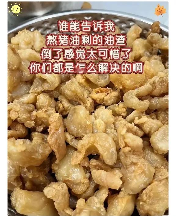 谁能告诉我呀！熬完油的油渣你们都是怎么处理的呀？每次都扔了可惜啊……[笑哭]