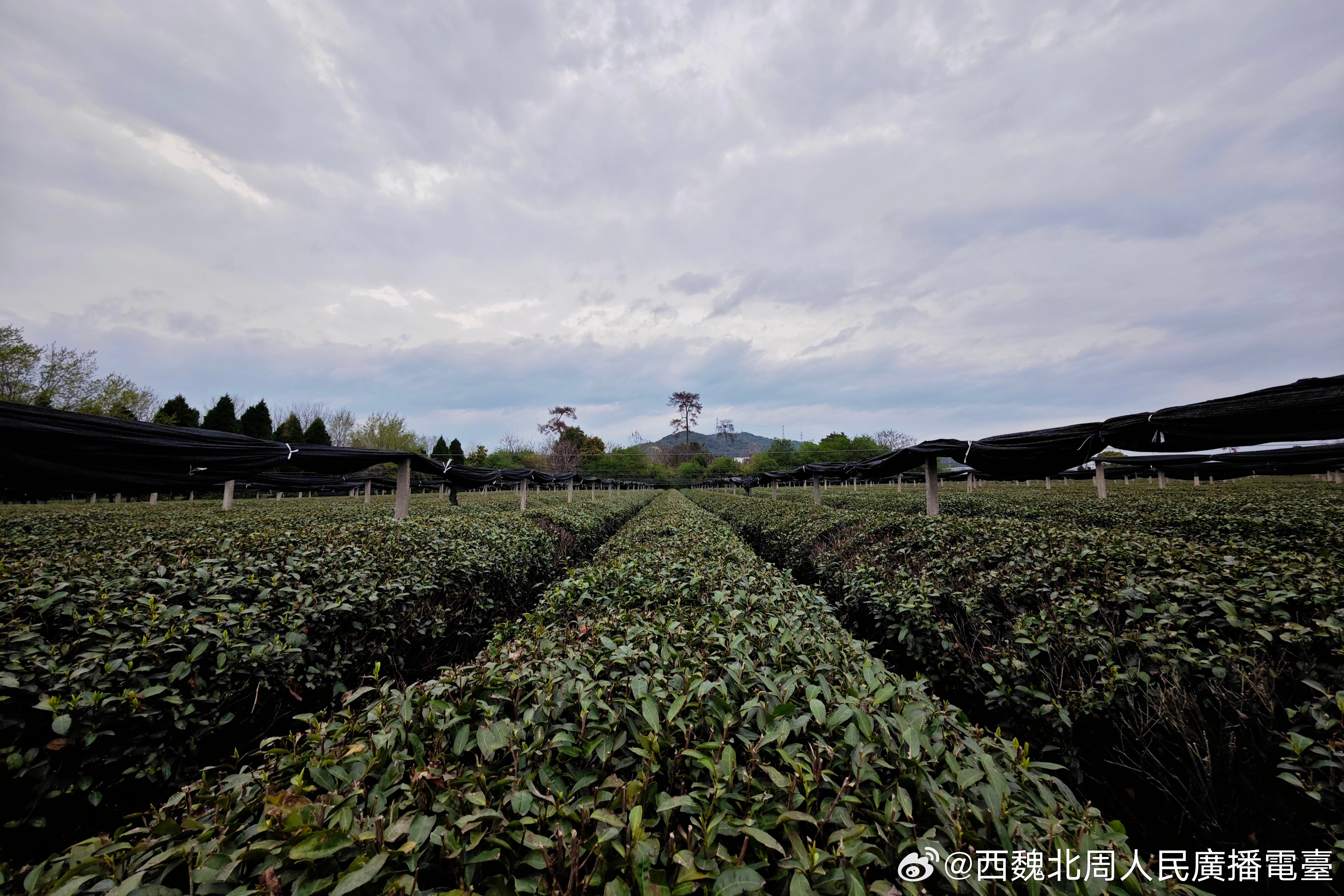 南宋六陵 绍兴·宋六陵旅游风景区