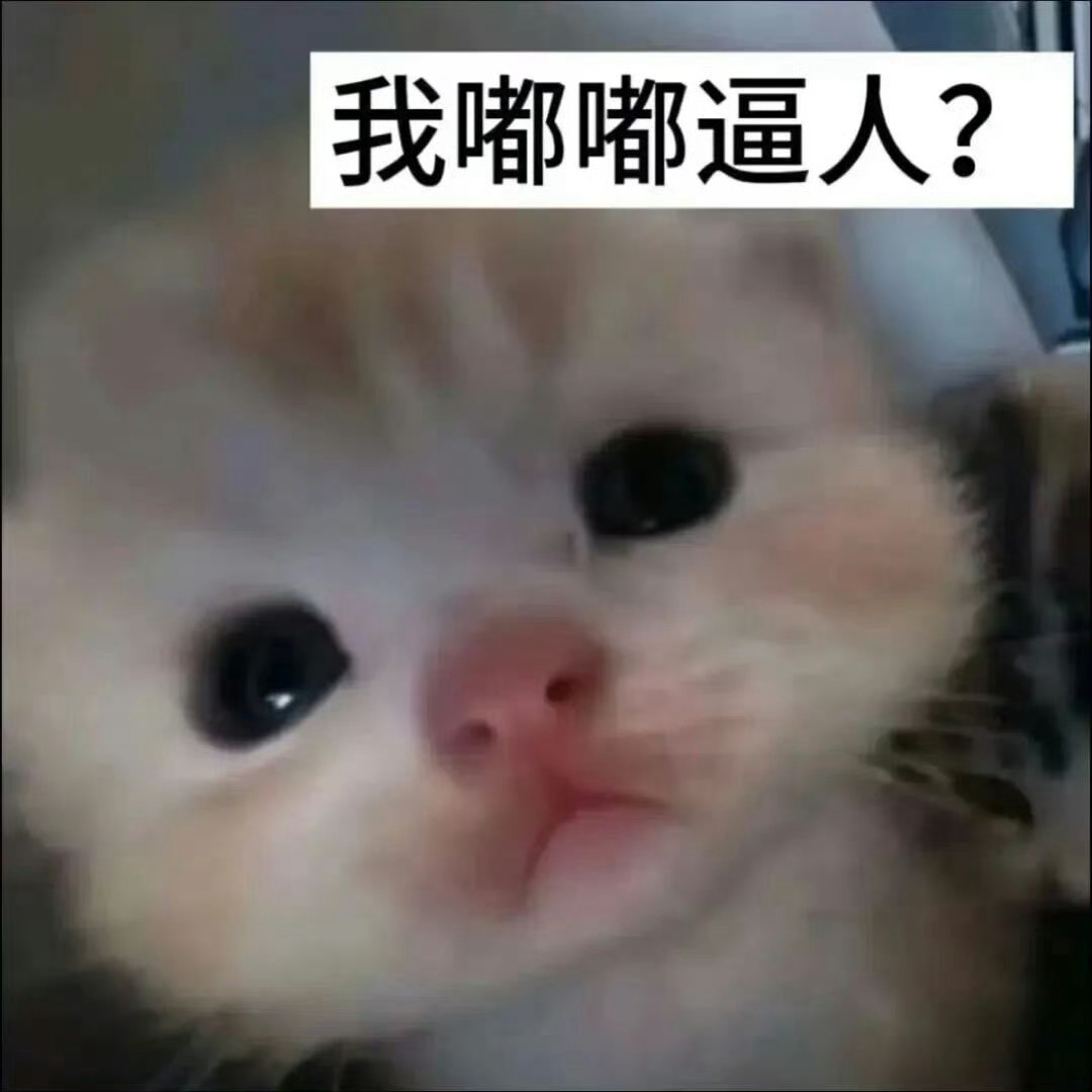 smfk怎么还没发下一波物料呀？ ​​​