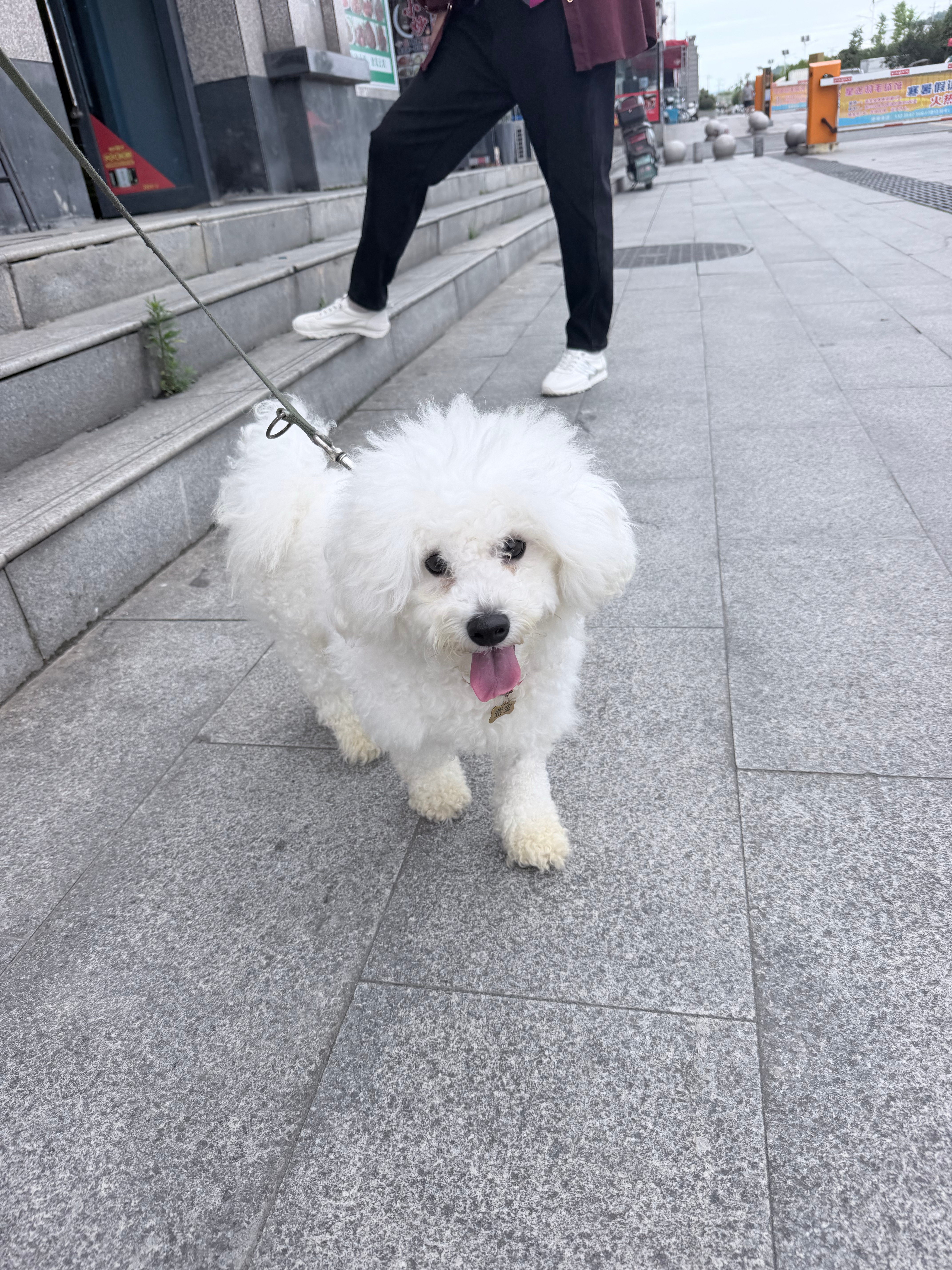 在那些销声匿迹的日子里我好像一直是个乐呵呵热爱生活的人天大的事 明天早上也是要吃