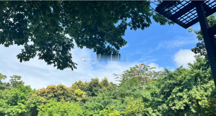 每个可以睡懒觉的周末，都起的特别早，8点就醒了，一个人开车来兄弟农庄钓钓鱼、唠唠