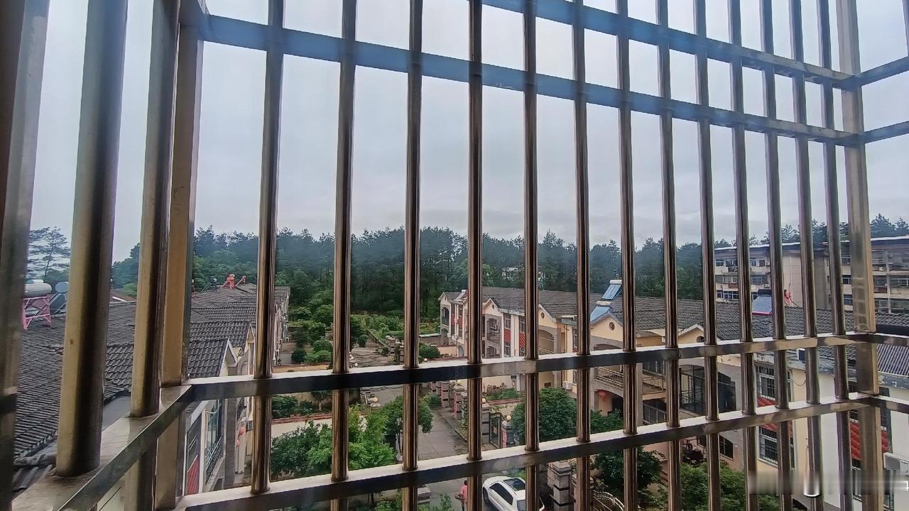 这大约是潜山城区唯一一片还留着野性的山坡了。彰法山的树林，就挤在楼群缝隙里，像一