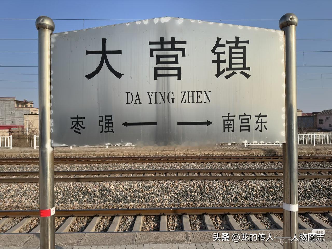 天南地北大拜年