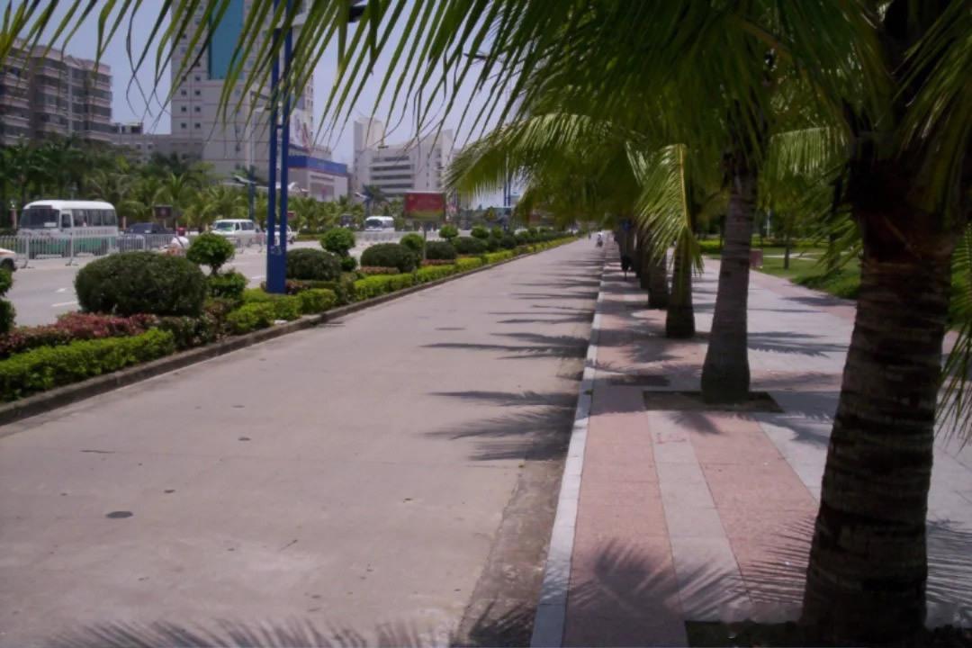 1997-2007年的广东茂名 