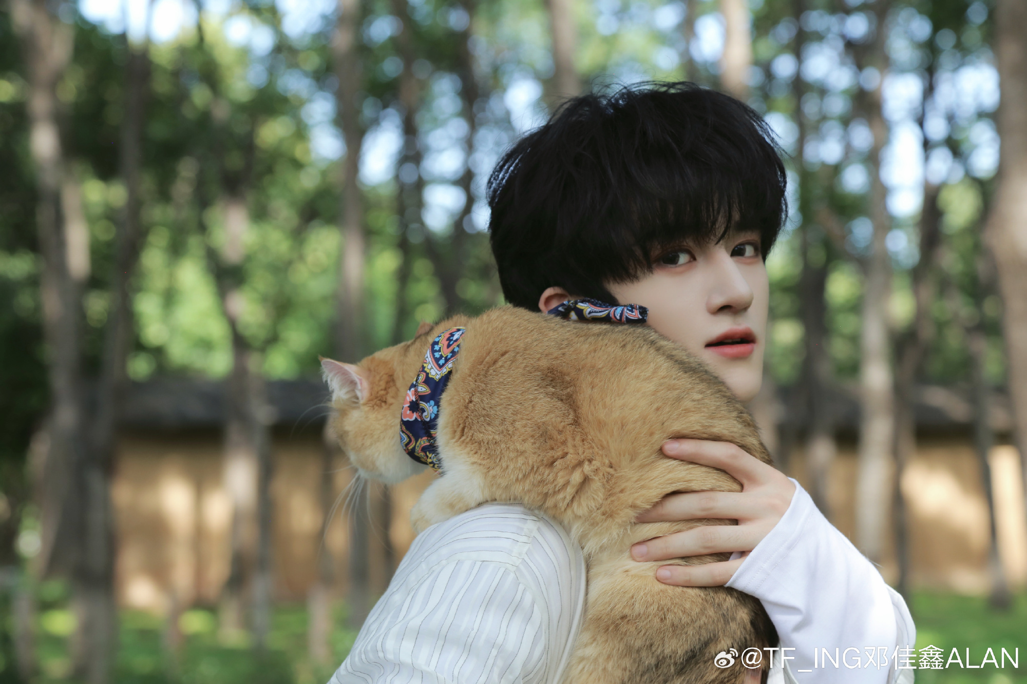 这个灯夹心完完全全是个猫爬架啊🥺🤏 