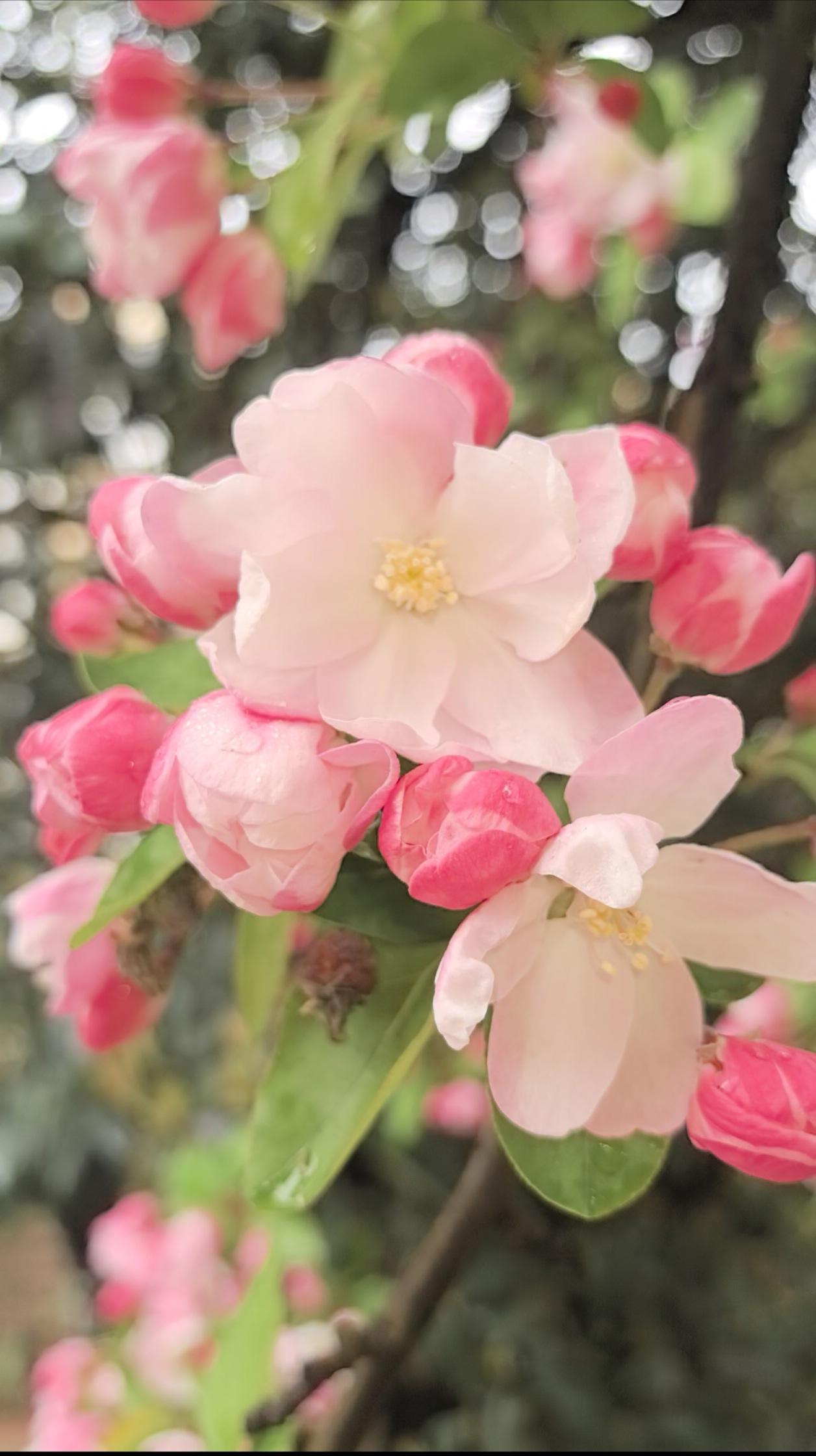虽然遭到岛内的各种阻挠，但郑丽文仍然毅然决然地率团来大陆访问，且大胆地发表自己认