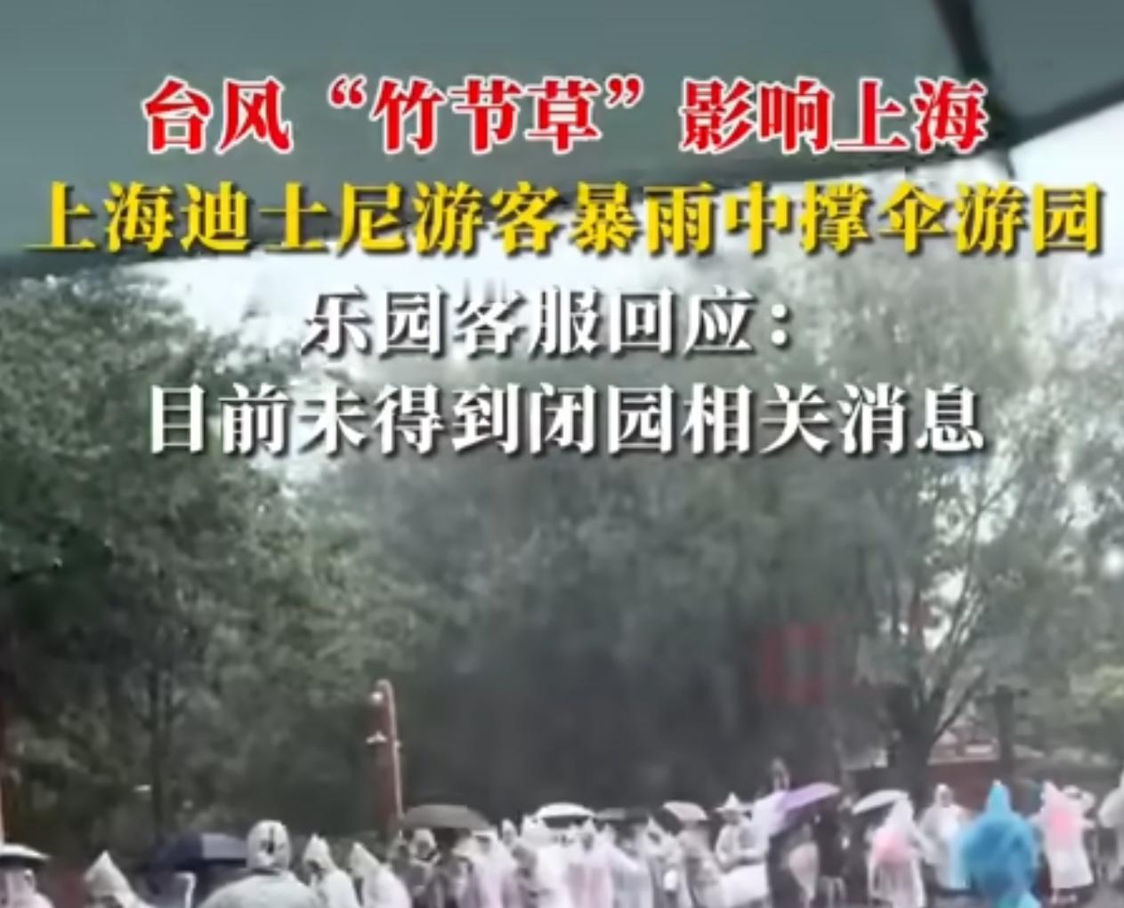 上海迪士尼游客暴雨中撑伞游园 和前几天张北音乐节有点像，去了受罪，不去可惜[裂开