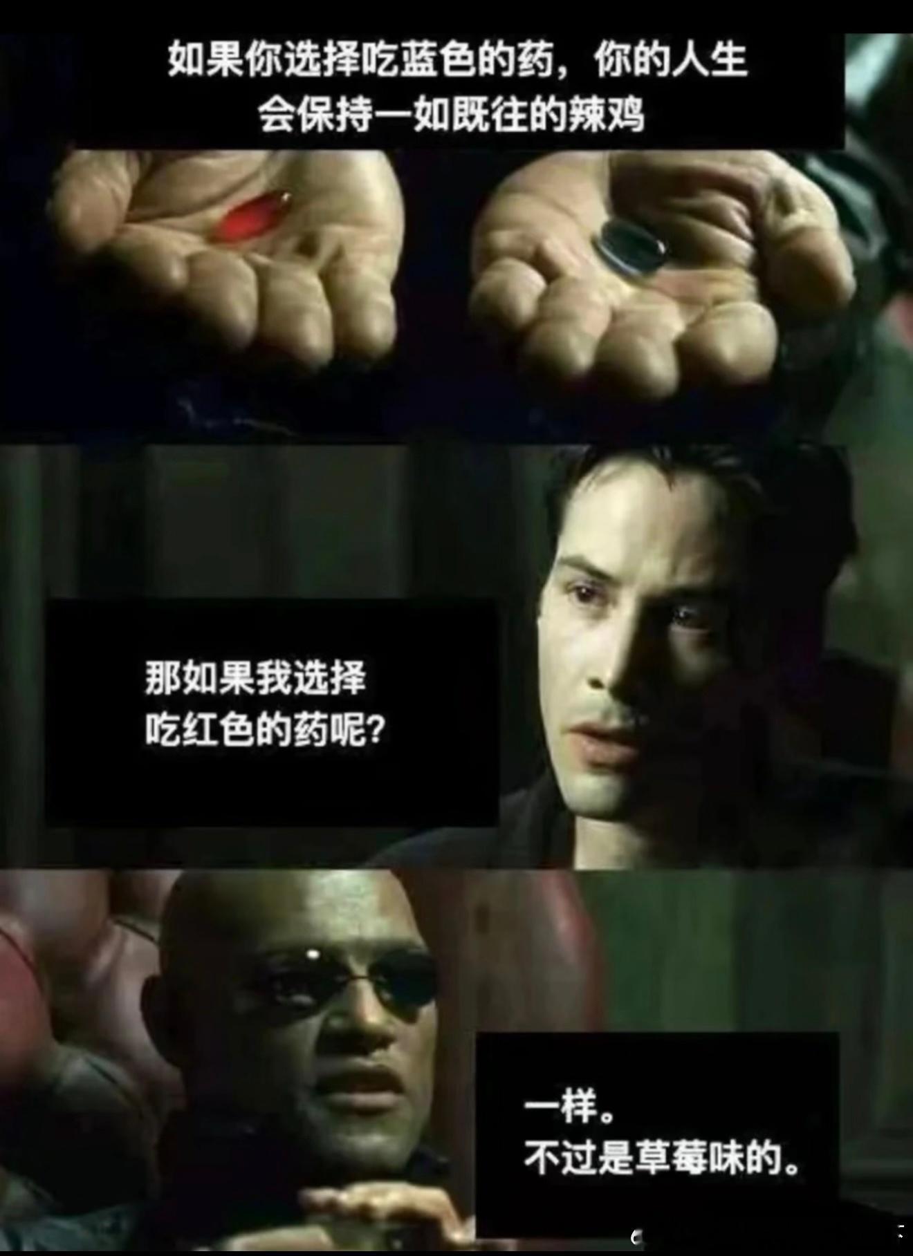 6672只不过是草莓味的 