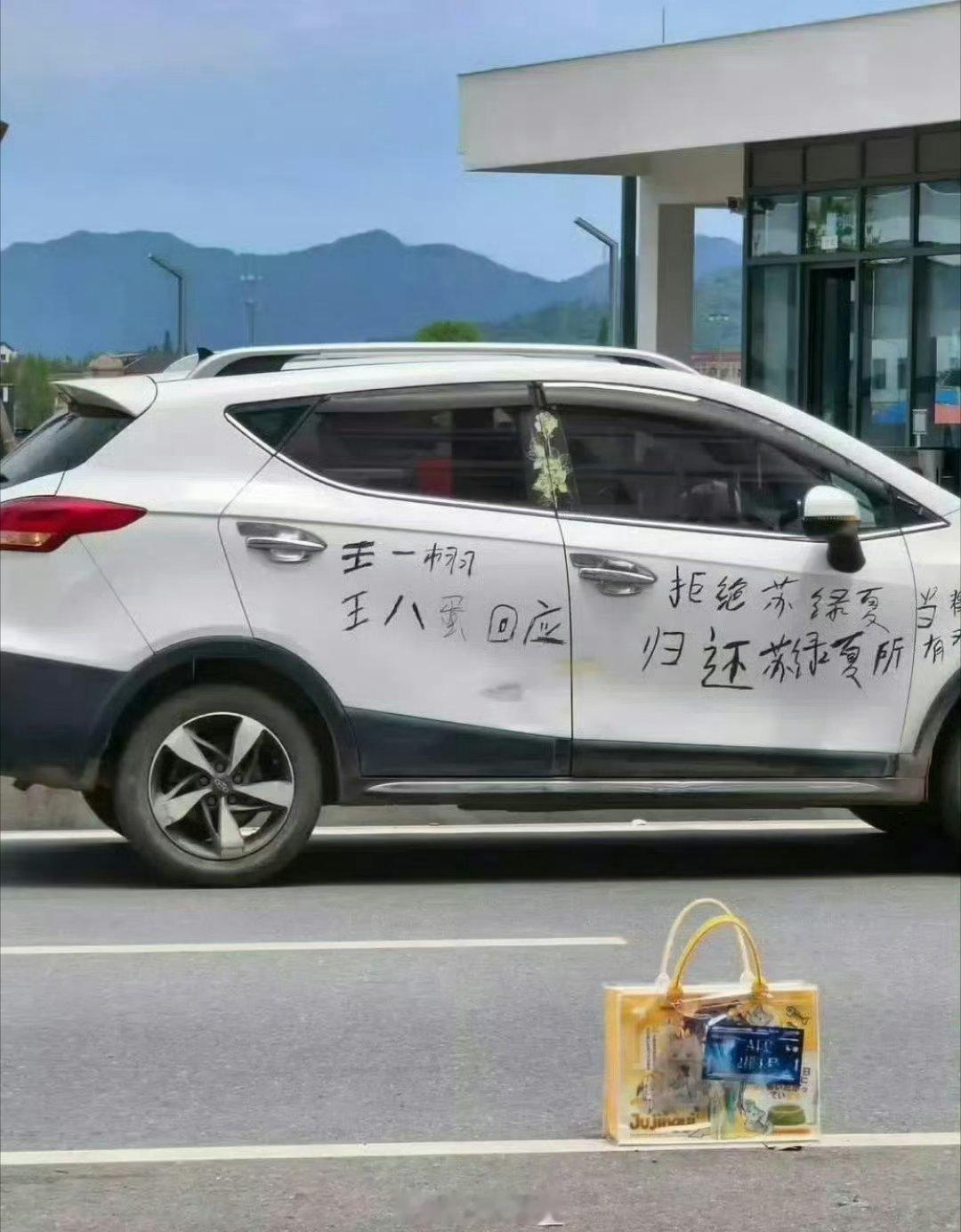 行吧，说是粉丝自己画的自己的车 