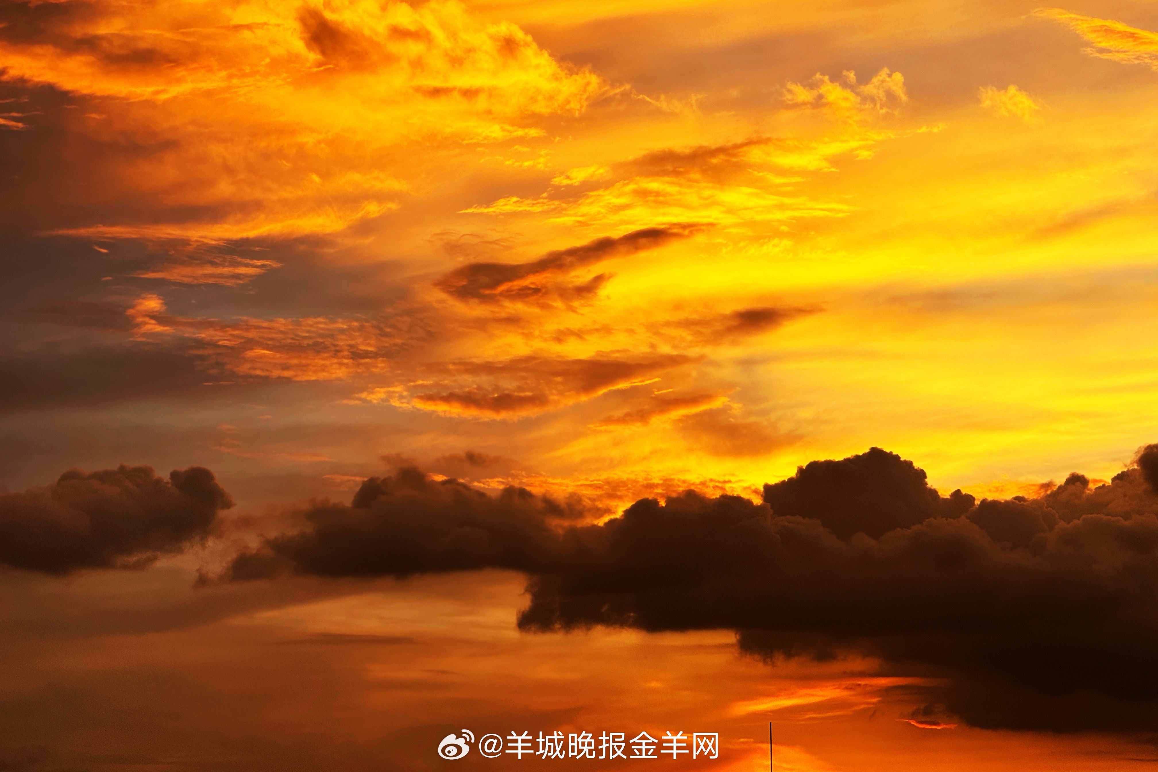 检测到周五夜晚：焦虑已休眠，快乐加载100%枕头是周末的第一站度假区#晚安# ​