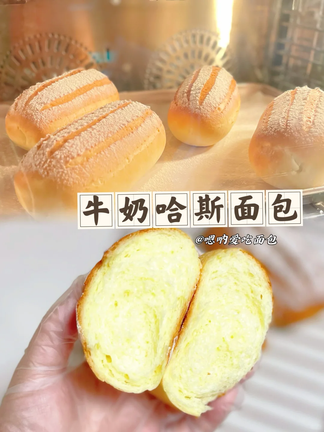 牛奶哈斯面包巨巨巨好吃做法简单、一次成功