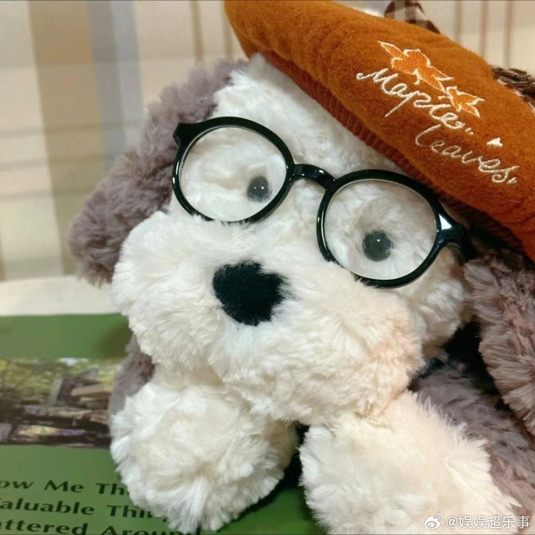 𝐖𝐞𝐂𝐡𝐚𝐭头像｜可爱|猫咪统治地球|玩偶头像|可爱头像分享|聊天壁